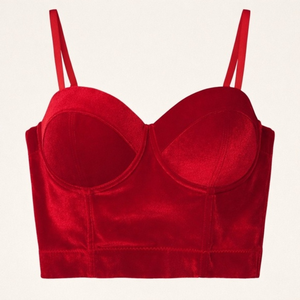 Red Velvet Bustier Cami Top Structured Corset Style Velvet Party Crop EUC S 2556